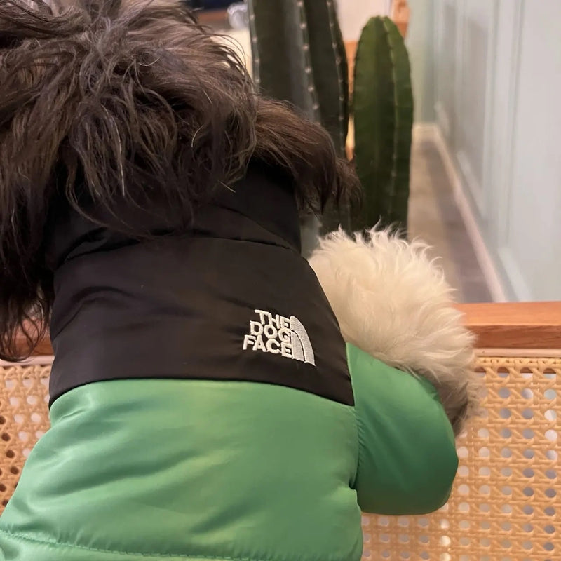 Jaqueta Dog Rocky™ | Roupa Para Cachorro