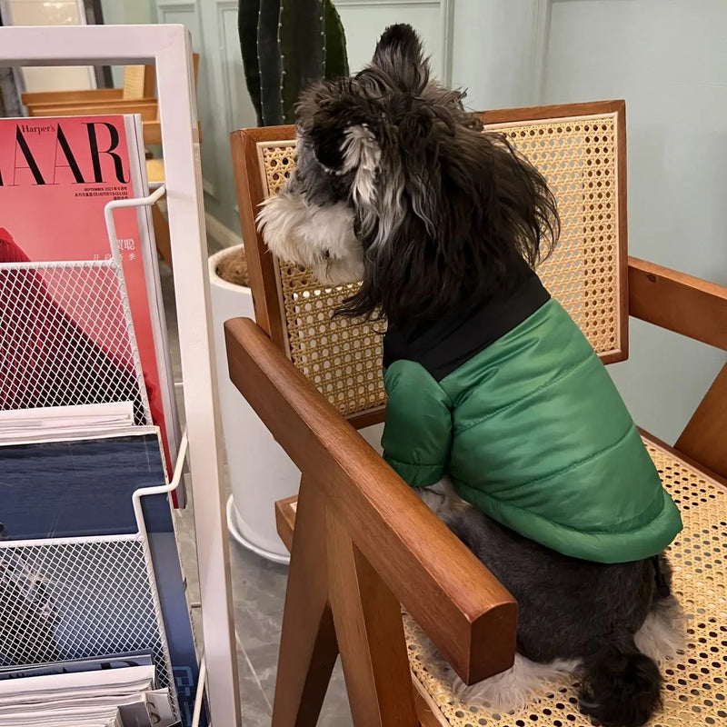 Jaqueta Dog Rocky™ | Roupa Para Cachorro