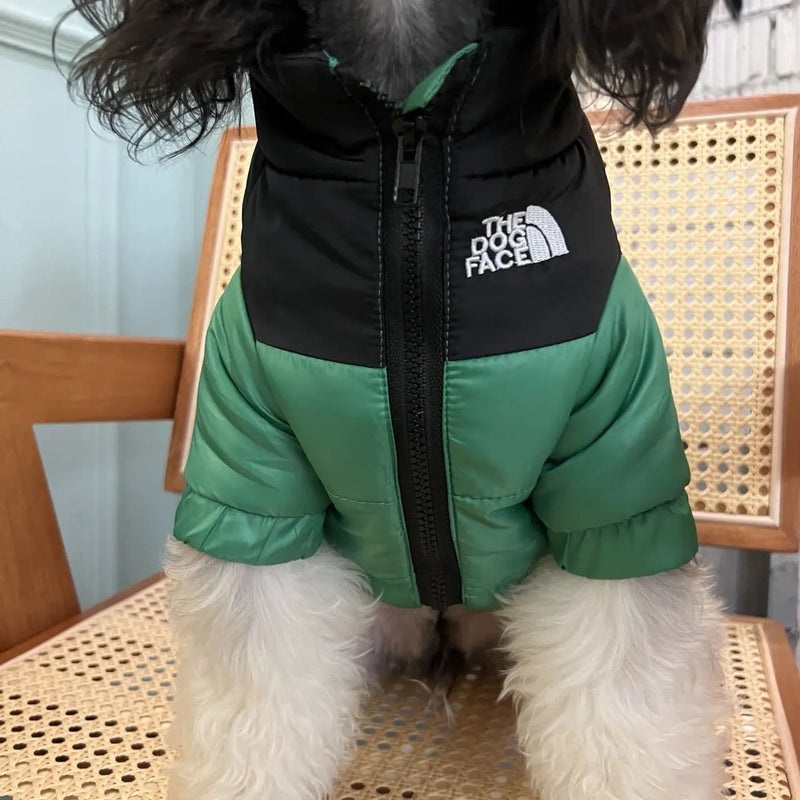 Jaqueta Dog Rocky™ | Roupa Para Cachorro