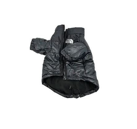 Jaqueta Dog Rocky™ | Roupa Para Cachorro
