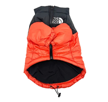 Jaqueta Dog Rocky™ | Roupa Para Cachorro