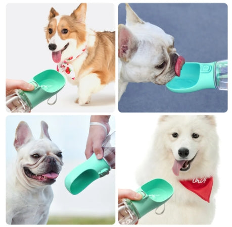 Água Pet - Garrafa de Água Para Cães e Gatos